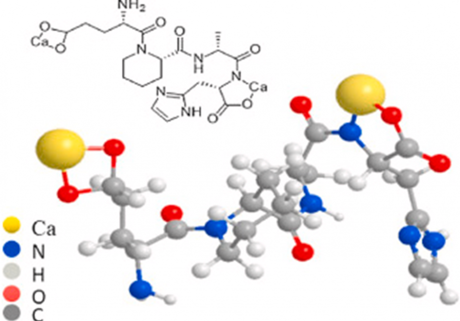 MODE OF ACTION OF RAMIL GP - A COMPREHENSIVE SOLUTION FOR MARKET HOGS